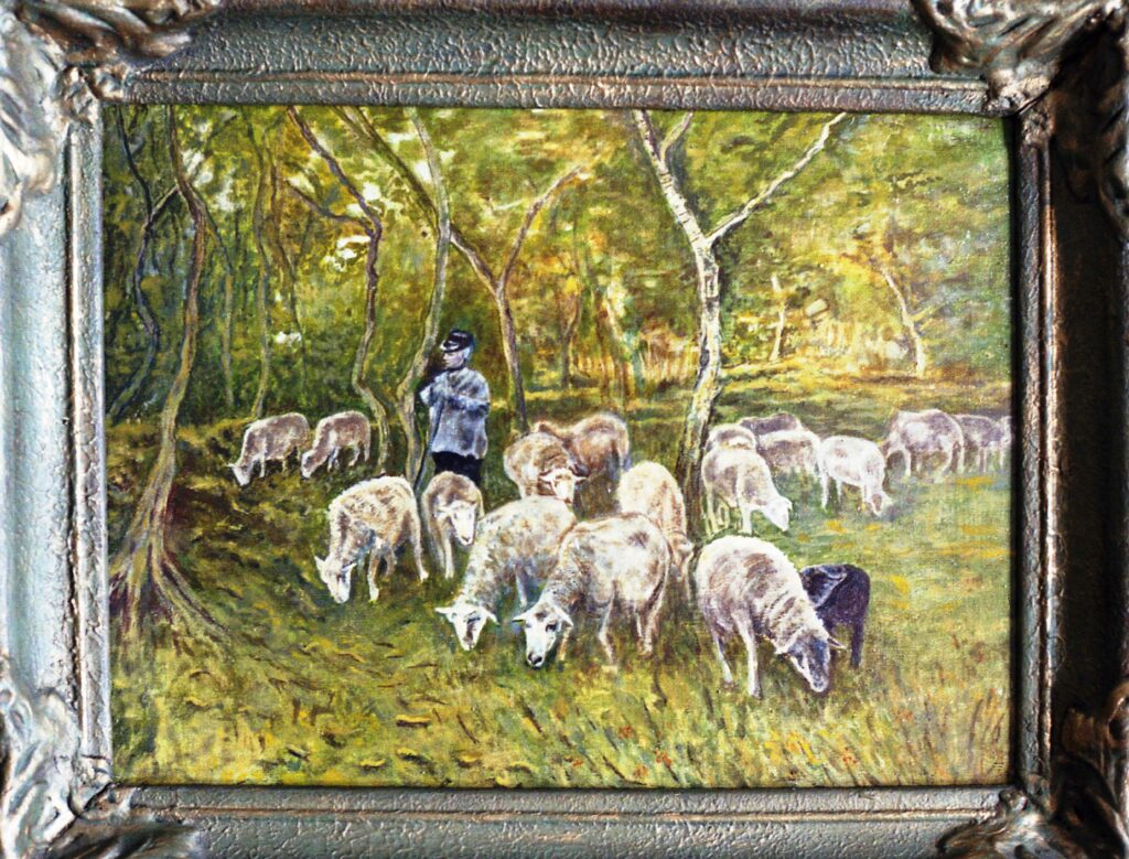 schapen met herder